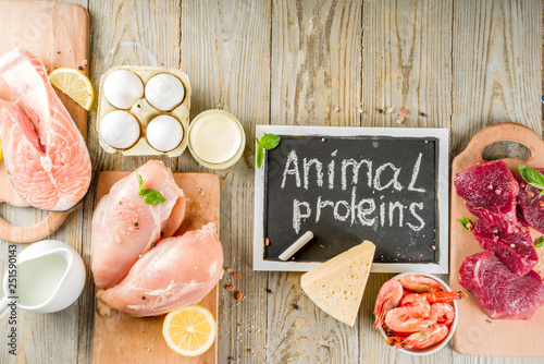 Animal protein sources - raw beef meat steak, chicken breast fillet, salmon fish, eggs, dairy milk, shrimps, cheese, copy space