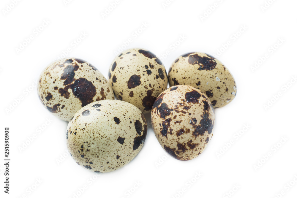 Quail eggs isolated on white. Selective focus Quail eggs isolated on white. Selective focus