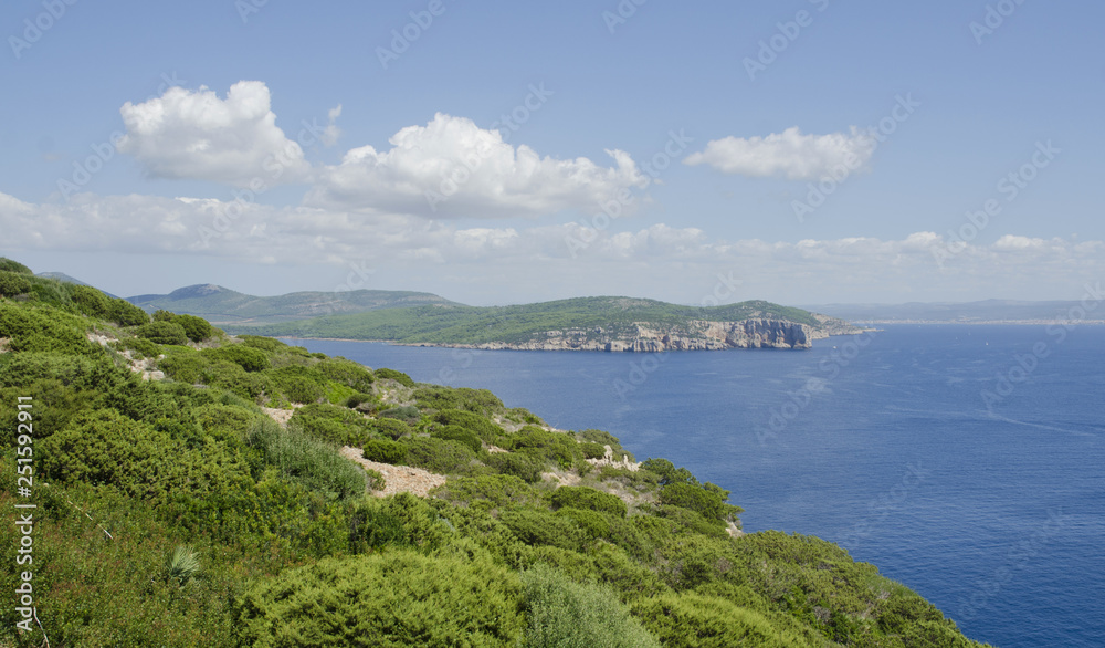 View of the sea and cliff, seascape, Sardinia, Italy