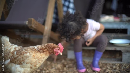Young girl playing with chicken. UK glamping holiday.