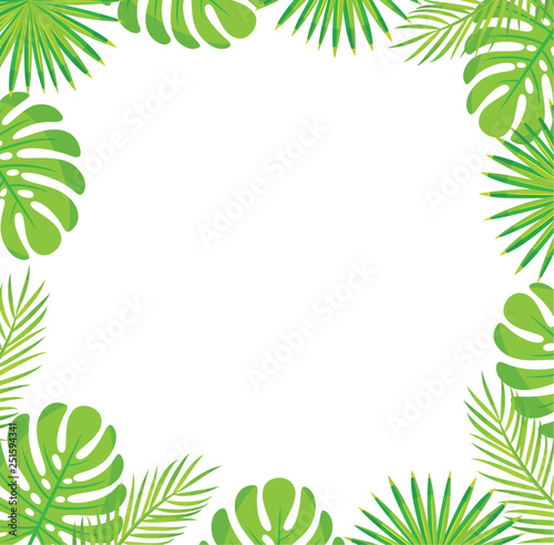 Tropical leaves border isolated green leaves of palm and monstera. Vector botanical frame of exotic plants, spare place for text, stylish botanical foliage