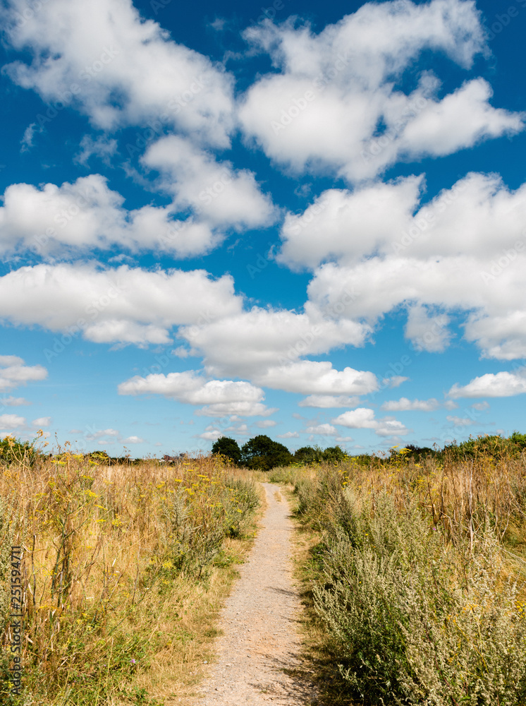 Fototapeta premium clouds 