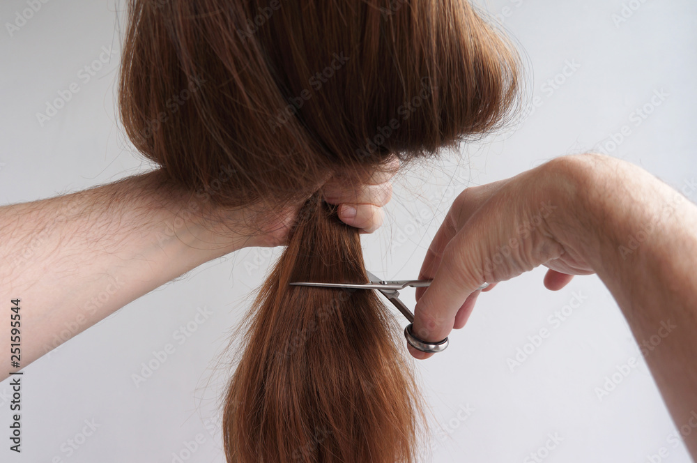 Hairdresser trimming brown hair with scissors on white background Hairdresser trimming brown hair with scissors on white background