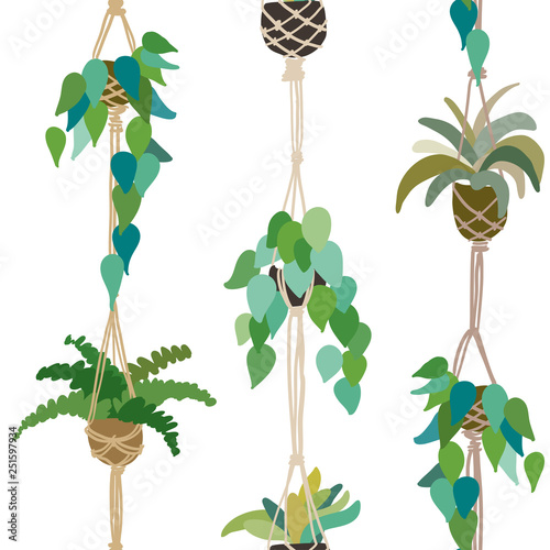 Urban interior house plants in decorative pots with macrame hanger vector illustration. Hand drawn art succulents cacti ficus tropical plants in scandinavian minimal style. Tile pattern for print