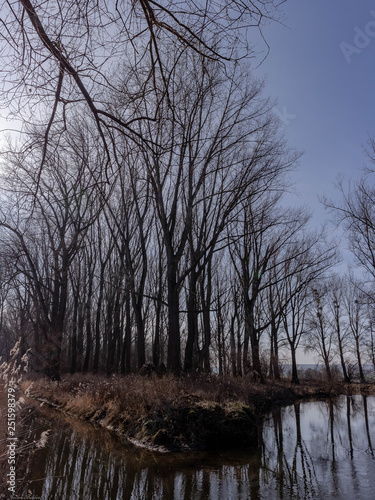 Wintersonne am Fluss