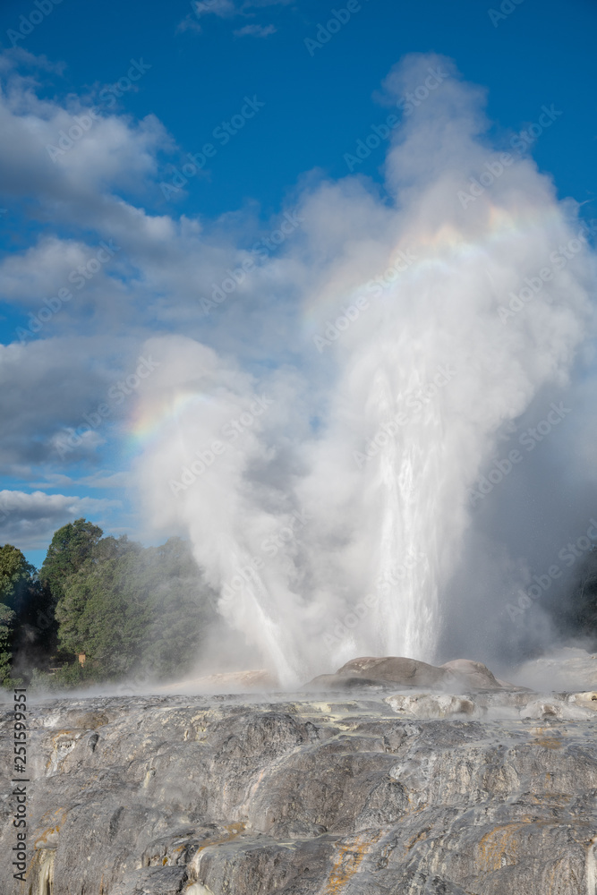 Erupting Pohutu Geyser in Te Puia National Park, Rotorua, New Zealand