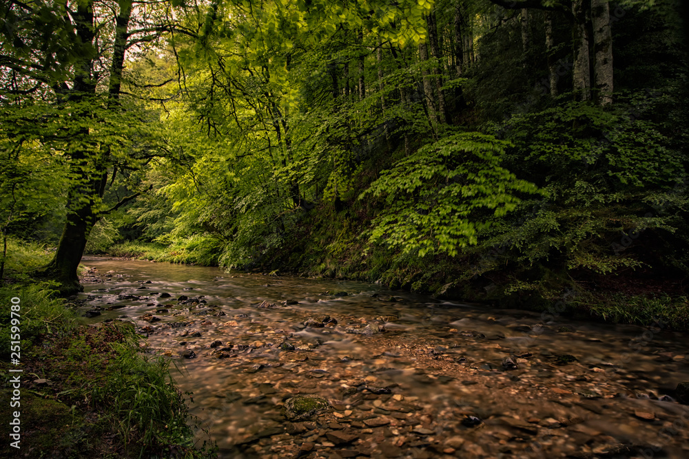 Obraz premium river in the north of navarra