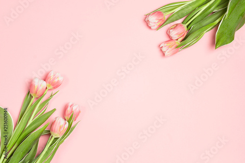 Fototapeta Naklejka Na Ścianę i Meble -  Floral frame background with tulips flowers and copy space on pink pastel background. Flat lay, top view