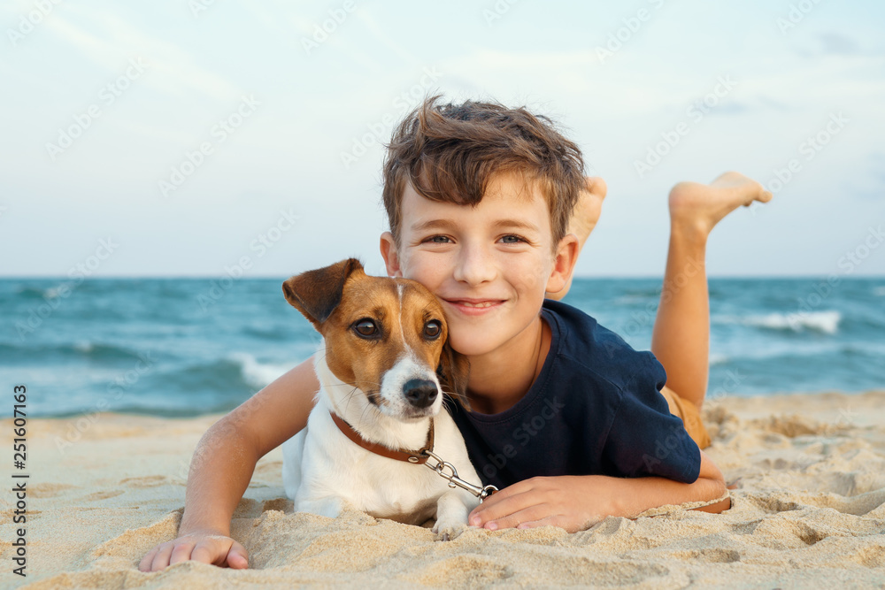 Puppies Jack Russell Terrier And Kids Cheap Husky Cross Jack