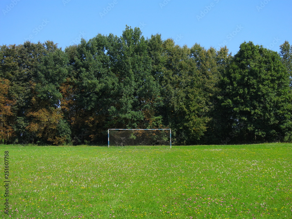 Landscape of nature in the summer with an old football goal on the meadow