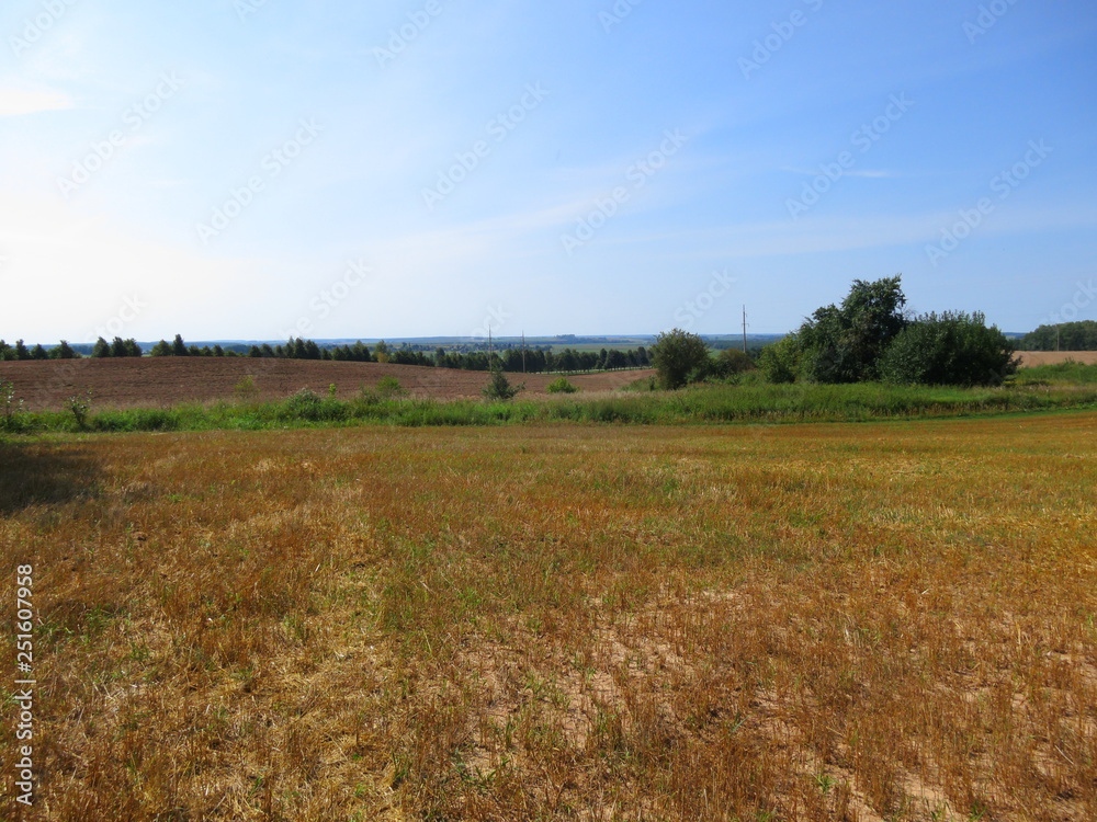 The landscape of the field with the harvested grain on a blue sky background