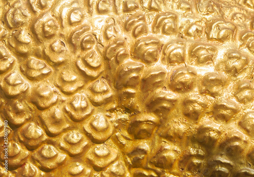 macro close up of gold dragon
