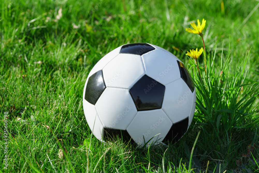 Classic soccer ball lying on the bright green grass on the football field in the background of the stands for the fans at the sports stadium close-up in a large sports center for football players Classic soccer ball lying on the bright green grass on the football field in the background of the stands for the fans at the sports stadium close-up in a large sports center for football players