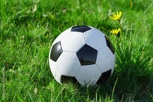 Classic soccer ball lying on the bright green grass on the football field in the background of the stands for the fans at the sports stadium close-up in a large sports center for football players