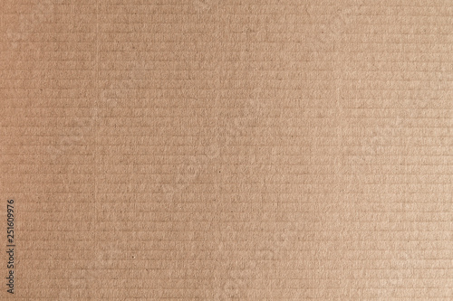 Corrugated cardboard background or texture photo