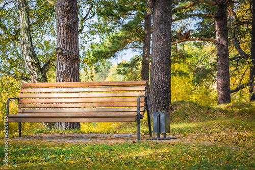 Wide bench in park with trees in an autumn sunny day.