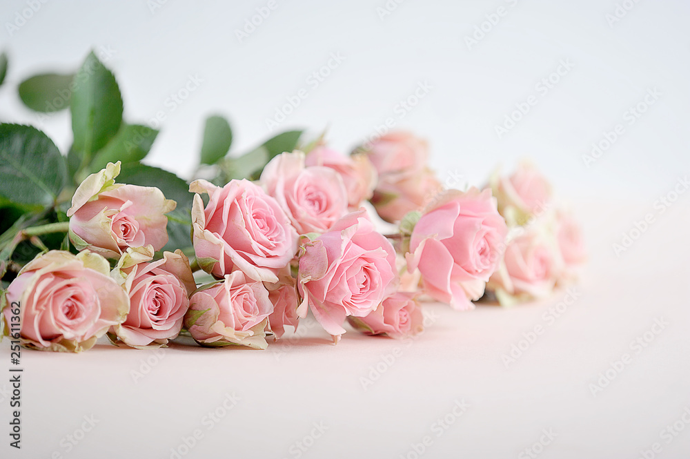 A bouquet of spray roses on a light background. Free space to place text. The concept of holiday greetings.