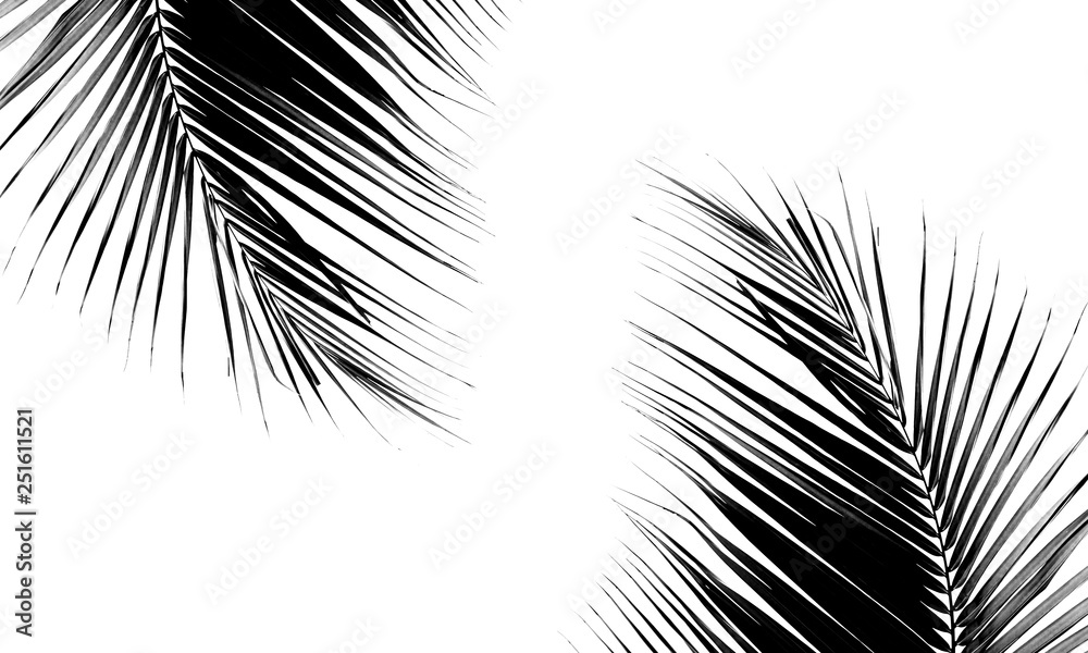 beautiful palms leaf - obrazy, fototapety, plakaty 