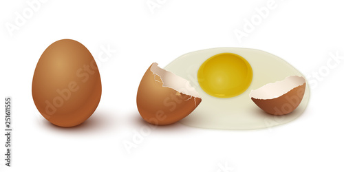 Brown chicken egg, eggshell and yolk isolated on gray background. Vector illustration.