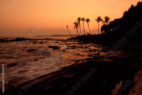 Tropical Orange Sunset Palm Silhouette Landscape. Sri Lanka Beach
