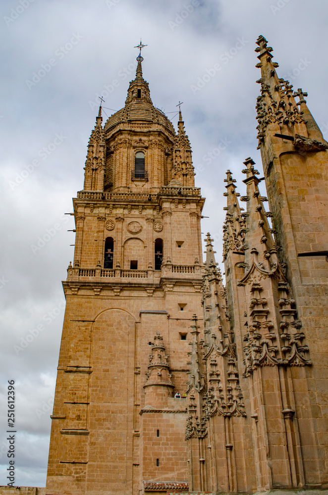 Bell tower of the old cathedral of Salamanca .