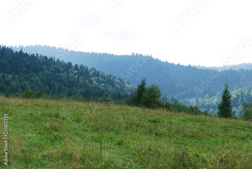 landscape in the mountains