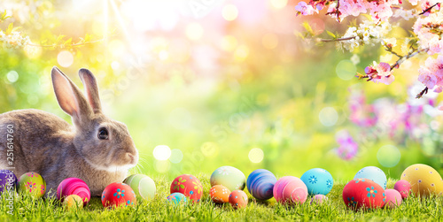 Slika na platnu Adorable Bunny With Easter Eggs In Flowery Meadow