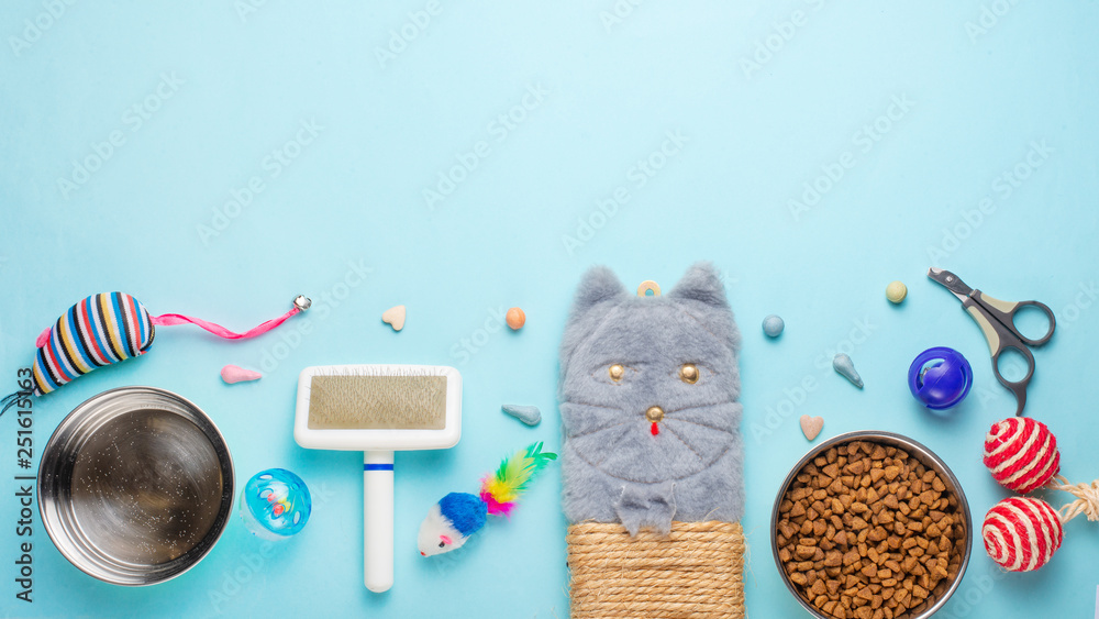 Cat accessories store cheap