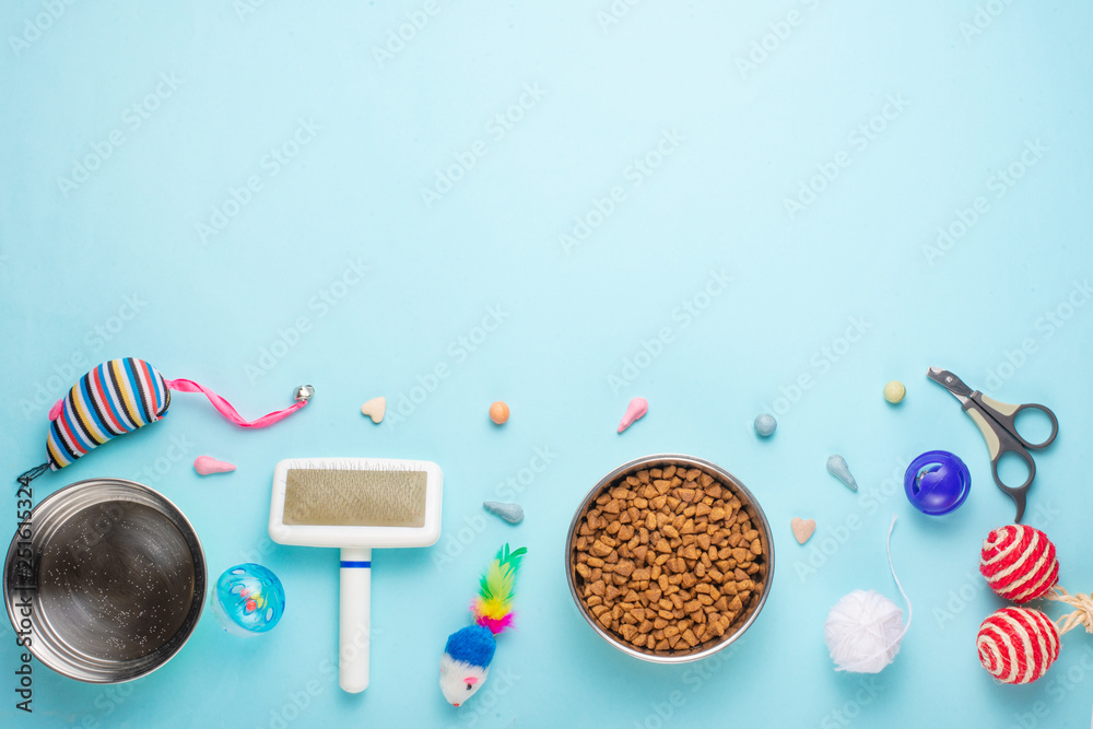 cat accessories store