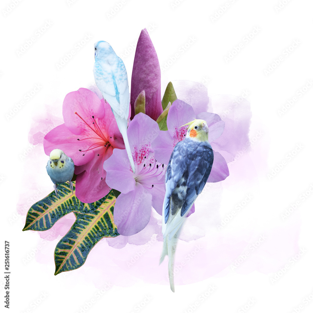 Collage flowers with birds