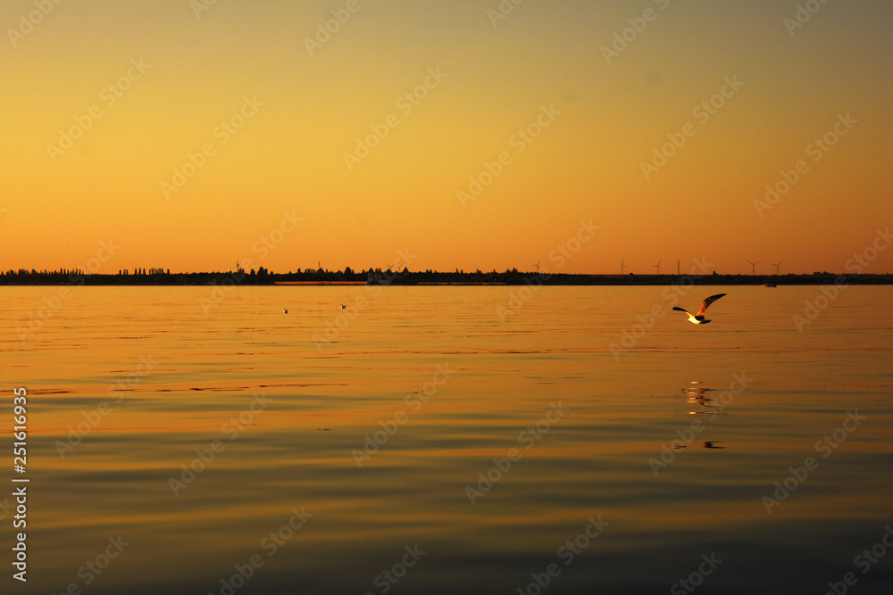 sunset over the calm black sea with seagulls