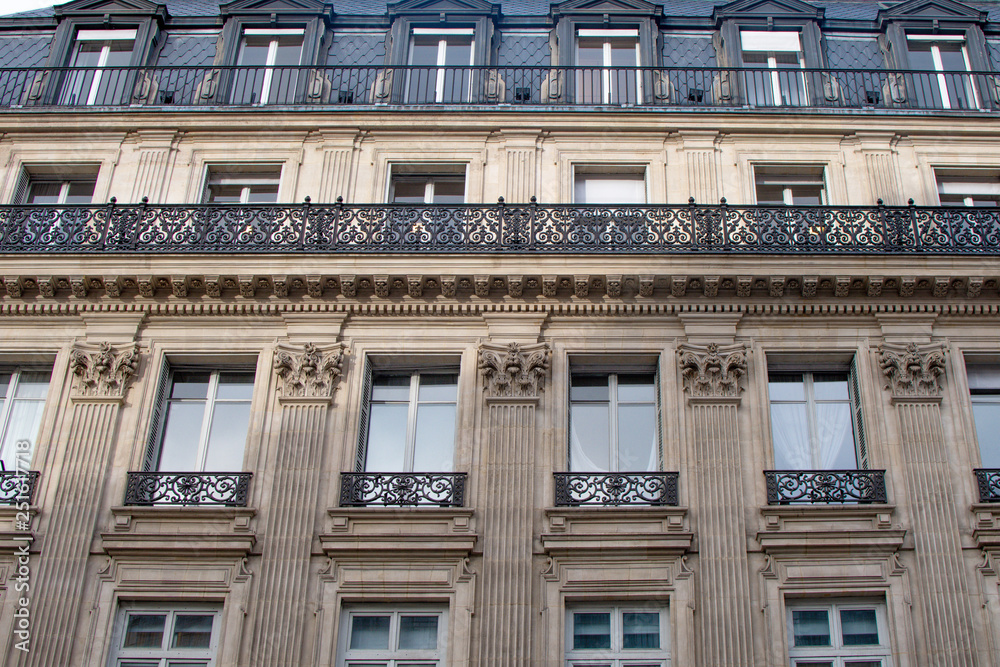 Paris in winter building facades