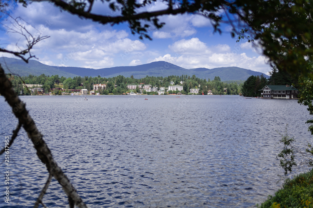 tree on the shore of lake