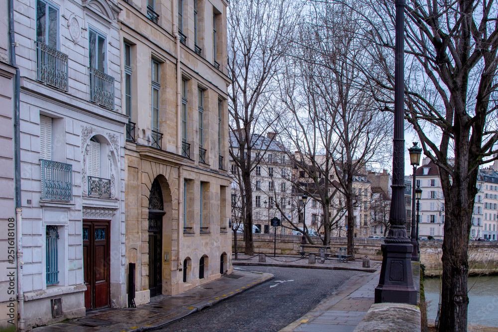 Paris in winter buildings of island of the City