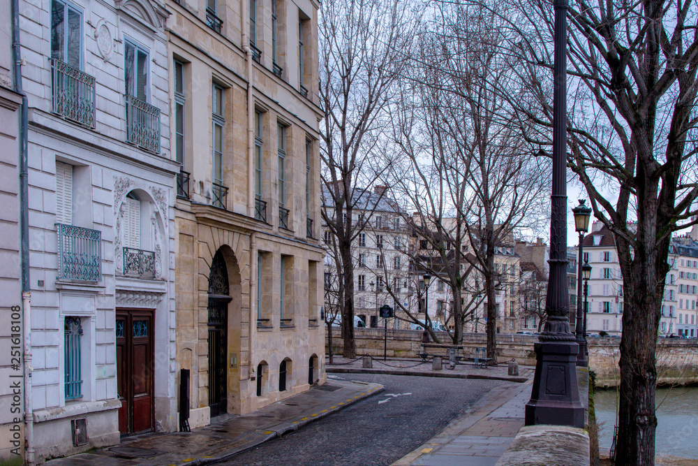 Paris in winter buildings of island of the City Paris in winter buildings of island of the City