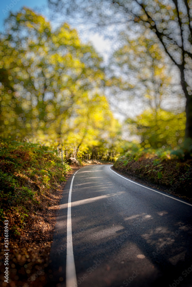 Obraz premium Road on a Country Lane, Essex, Britain - Oct 2011