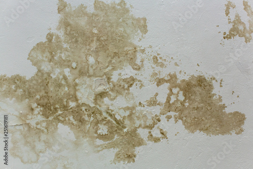 brown spots on the ceiling