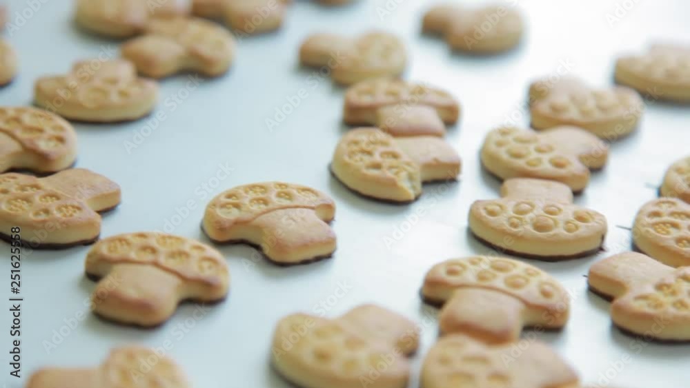 bakery and sweets factory bakery and sweets factory
