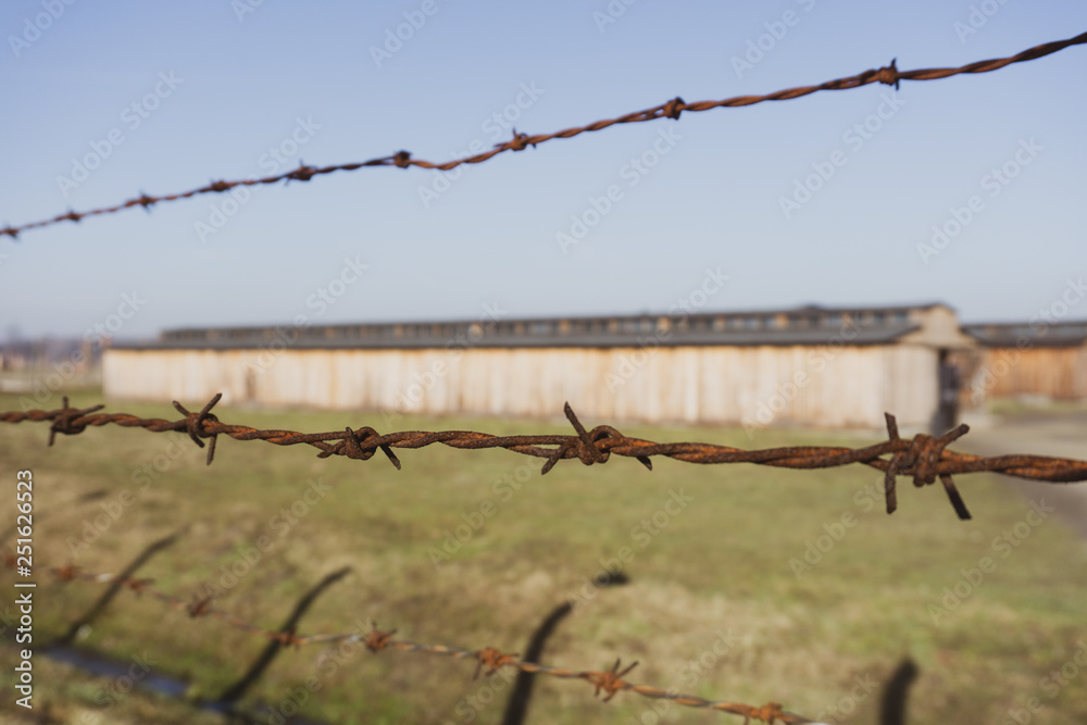 barbed wire on a background of blue sky barbed wire on a background of blue sky