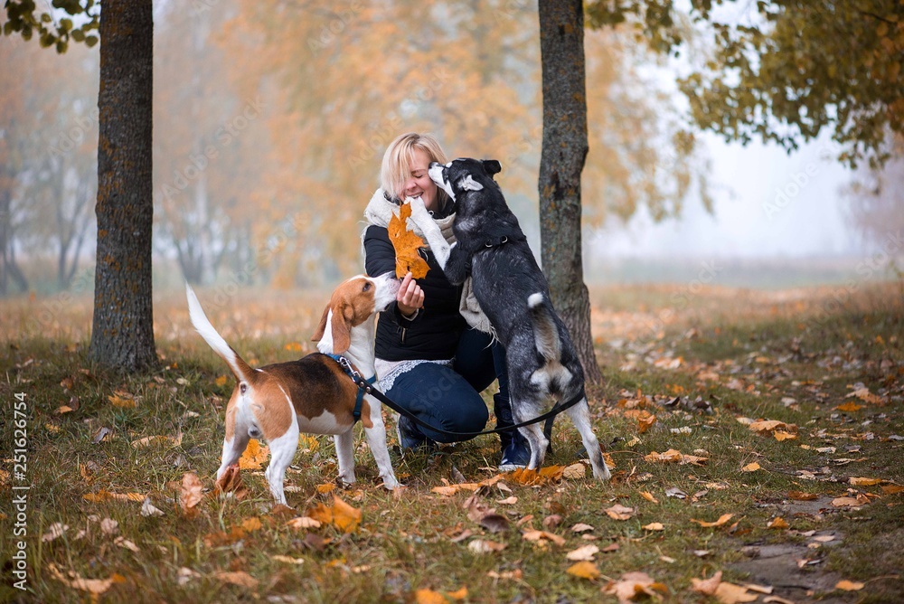 Young woman playing with her dogs in park Young woman playing with her dogs in park