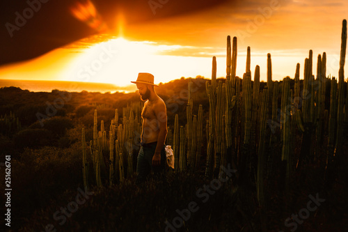 Sunset boy