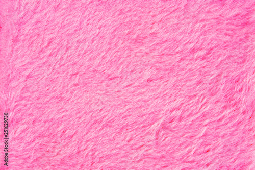Pink fur texture close up. Pink fluffy fur background