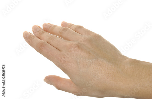  image on white background of different positions of a hand photo