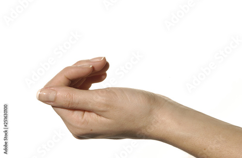  image on white background of different positions of a hand photo