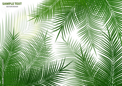Tropical background. Realistic palm tree leaves. Exotic beauty for travel Design  promotion and marketing. Vector illustration - Vector graphics
