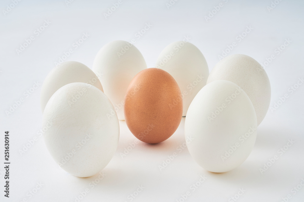 White eggs around brown egg on white background. White eggs around brown egg on white background.