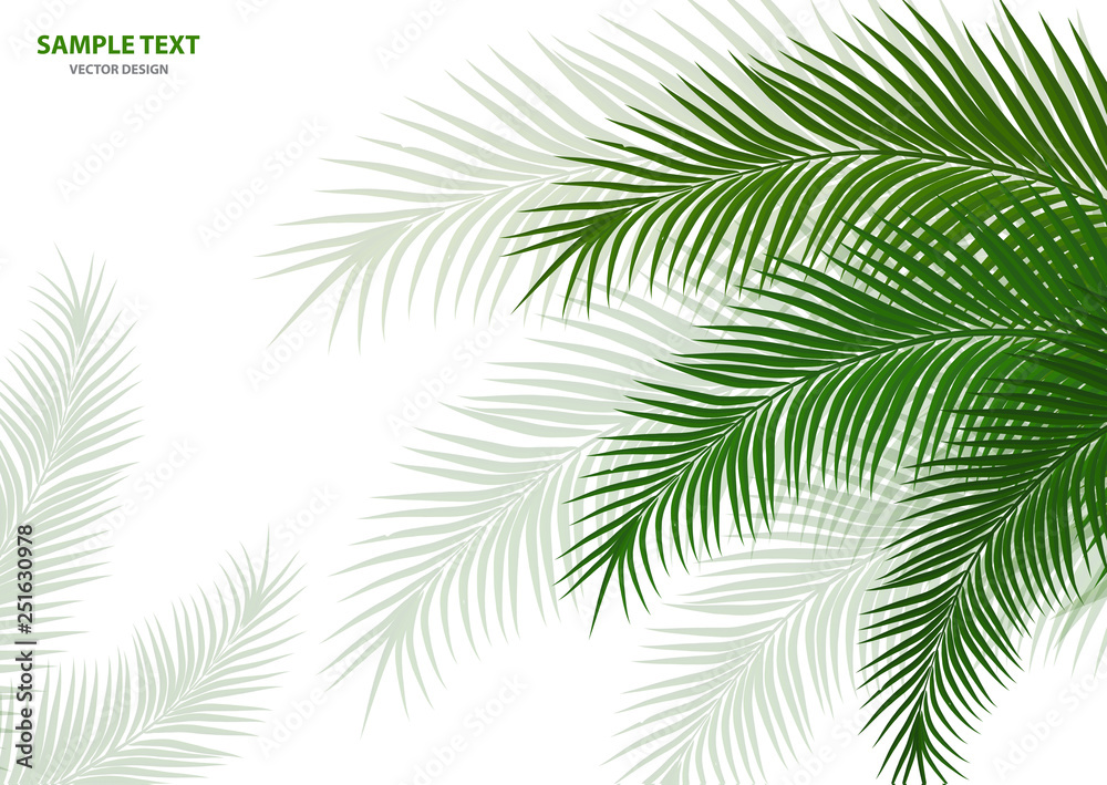 Tropical background. Realistic palm tree leaves. Exotic beauty for travel Design, promotion and marketing. Vector illustration - Vector graphics