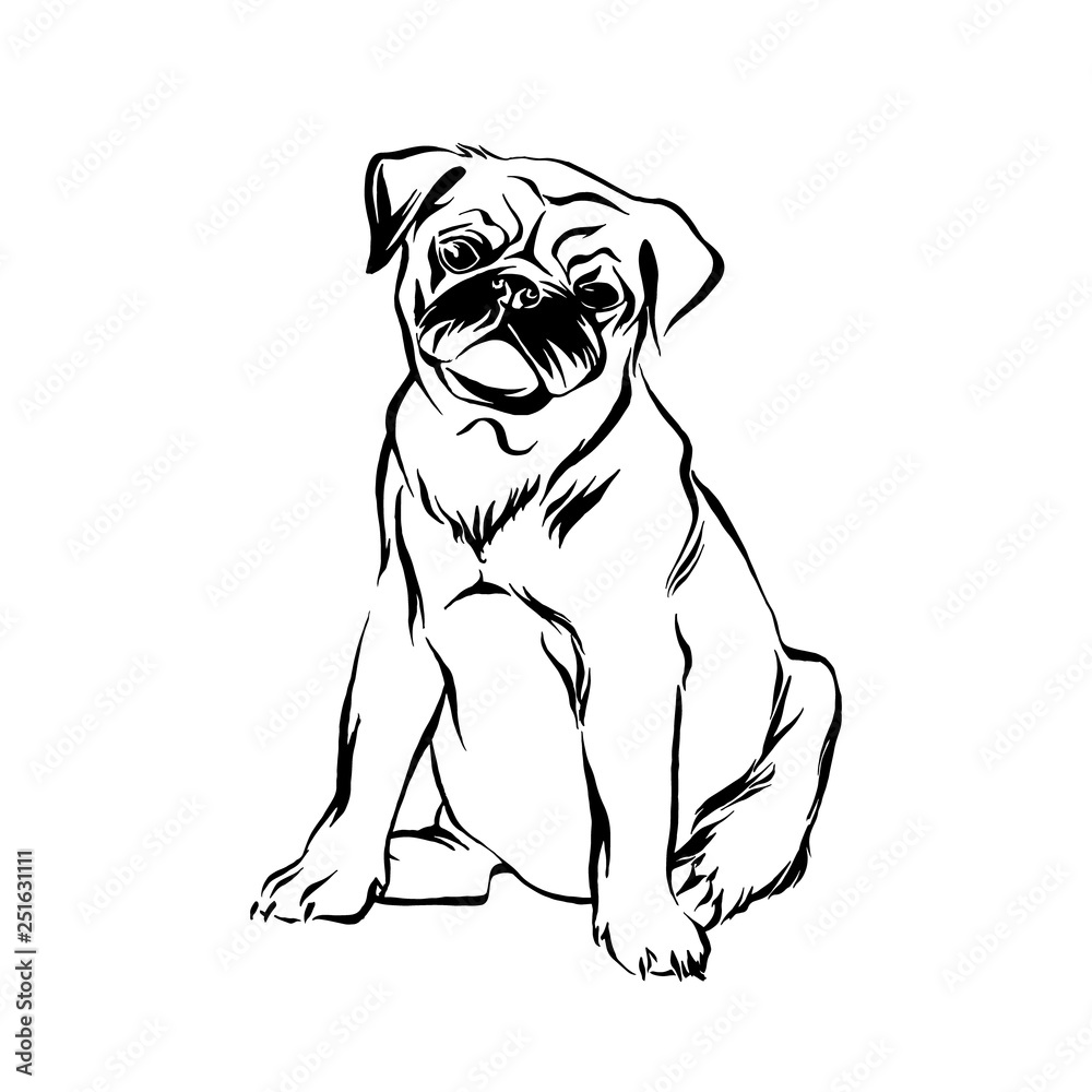 Hand drawn sitting pug puppy dog. Vector sketch black isolated animal pet illustration on white background. Hand drawn sitting pug puppy dog. Vector sketch black isolated animal pet illustration on white background.