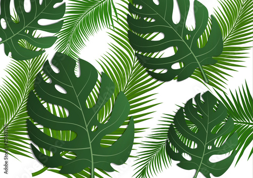 Tropical bright flyer, leaflet with monster leaves and palm trees. Exotic tropical trendy print. Invitation to a party in an exotic style. Vector illustration.