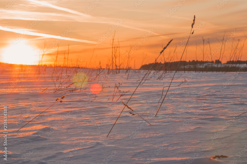 beautiful fiery sunset on a frosty winter evening beautiful fiery sunset on a frosty winter evening